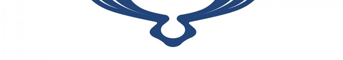 SSANG YOUNG DFSK SAFA MOTORS A.Ş
